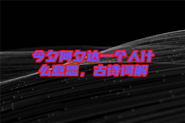 今夕何夕達一個人什么意思,古詩詞解