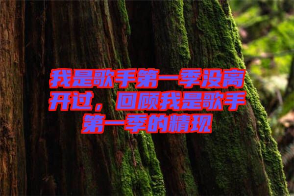 我是歌手第一季沒離開過，回顧我是歌手第一季的精現(xiàn)