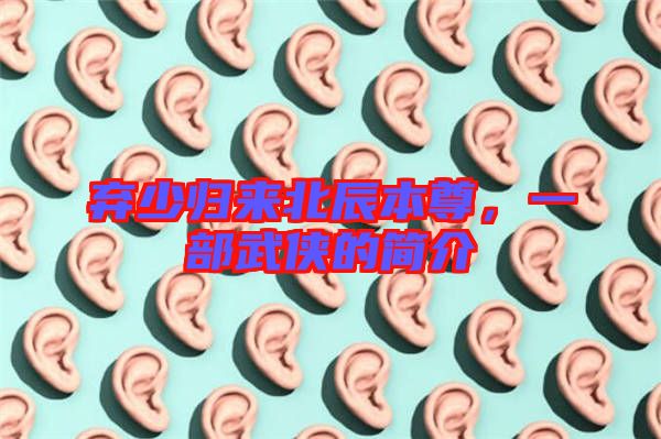 棄少歸來北辰本尊,一部武俠的簡介