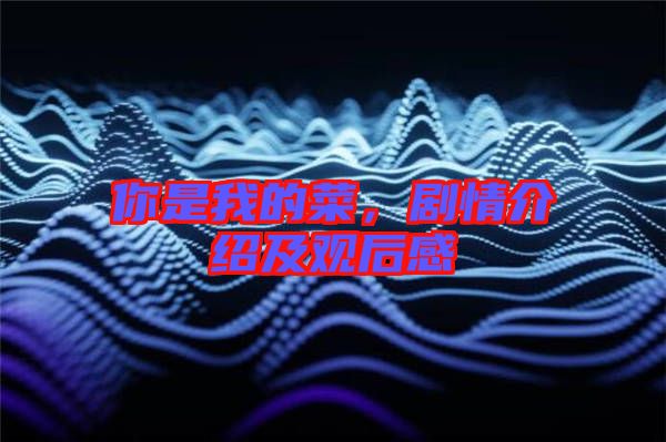 你是我的菜，劇情介紹及觀后感