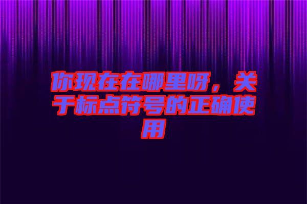 你現(xiàn)在在哪里呀,關(guān)于標(biāo)點符號的正確使用
