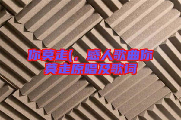 你莫走(,感人歌曲你莫走原唱及歌詞
