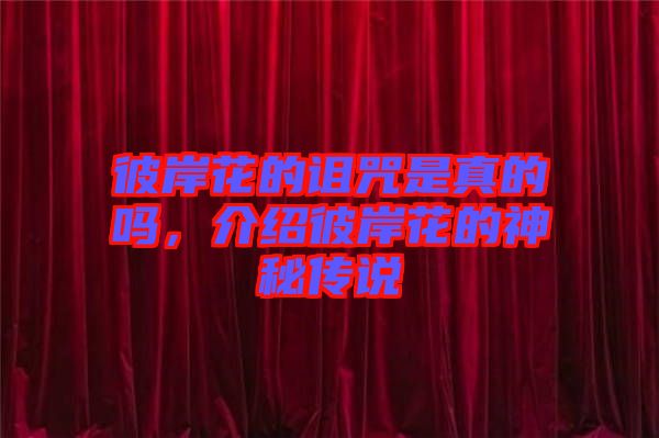 彼岸花的詛咒是真的嗎,介紹彼岸花的神秘傳說