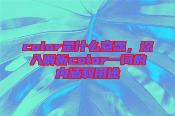 color是什么意思,深入解析color一詞的內涵和用途