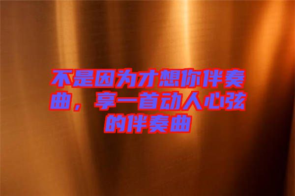 不是因為才想你伴奏曲,享一首動人心弦的伴奏曲