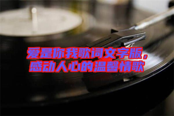 愛是你我歌詞文字版，感動人心的溫馨情歌