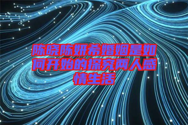 陳曉陳妍?；橐鍪侨绾伍_(kāi)始的探究?jī)扇烁星樯? width=