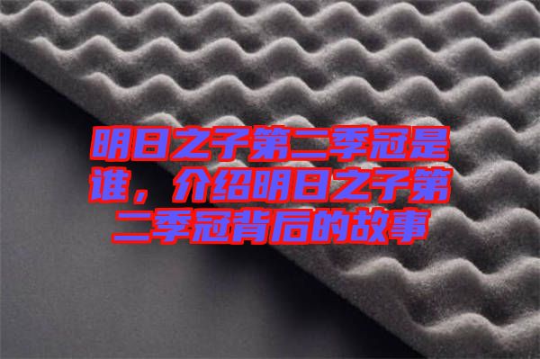 明日之子第二季冠是誰,介紹明日之子第二季冠背后的故事