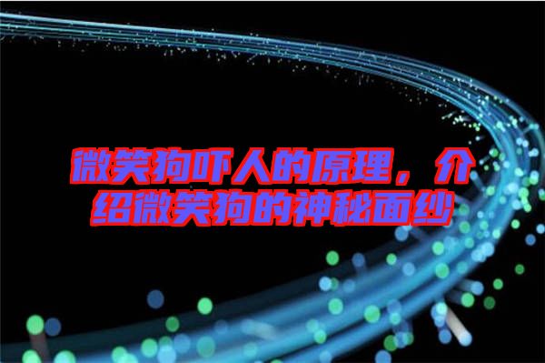 微笑狗嚇人的原理,介紹微笑狗的神秘面紗