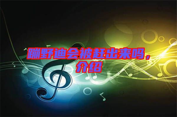 蹦野迪會(huì)被趕出來(lái)嗎,介紹