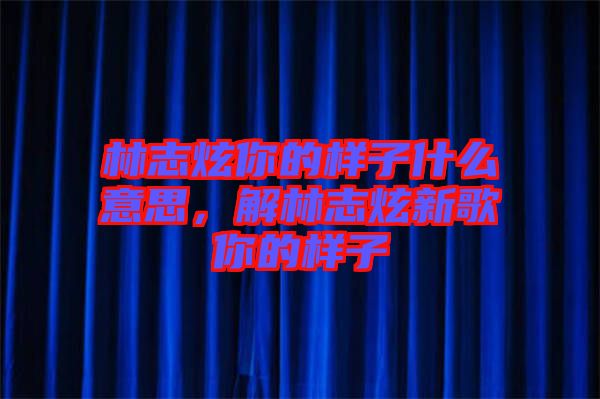 林志炫你的樣子什么意思,解林志炫新歌你的樣子
