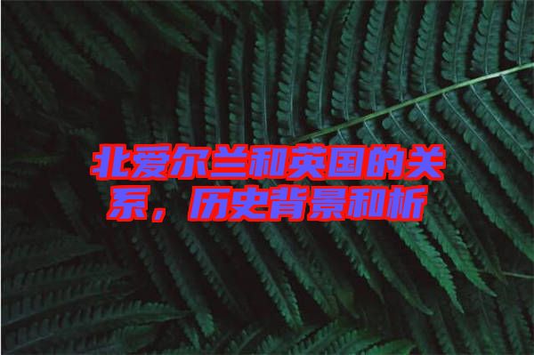 北愛爾蘭和英國的關系，歷史背景和析