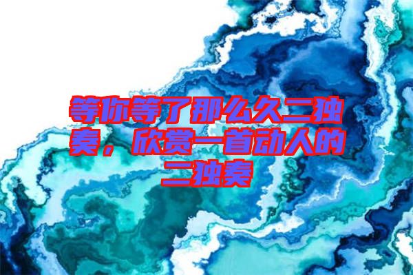 等你等了那么久二獨(dú)奏,欣賞一首動(dòng)人的二獨(dú)奏