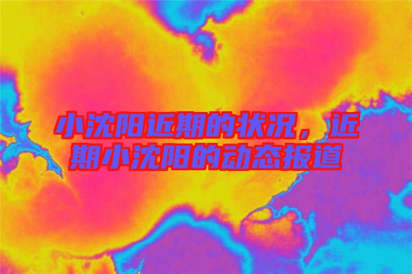 小沈陽近期的狀況,近期小沈陽的動態報道