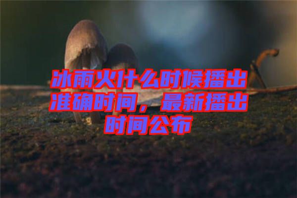 冰雨火什么時候播出準確時間,最新播出時間公布
