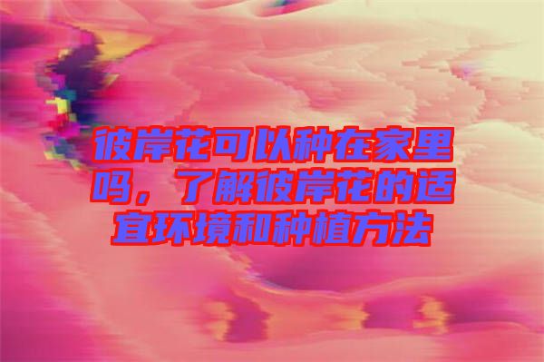 彼岸花可以種在家里嗎,了解彼岸花的適宜環(huán)境和種植方法