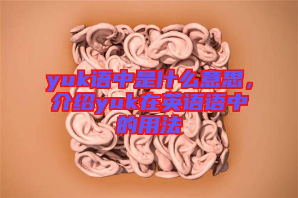 yuk語中是什么意思,介紹yuk在英語語中的用法