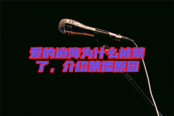 愛(ài)的迫降為什么被禁了，介紹禁播原因