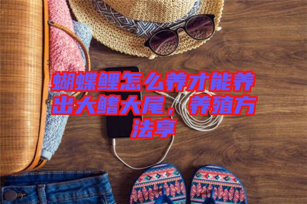 蝴蝶鯉怎么養(yǎng)才能養(yǎng)出大鰭大尾,養(yǎng)殖方法享