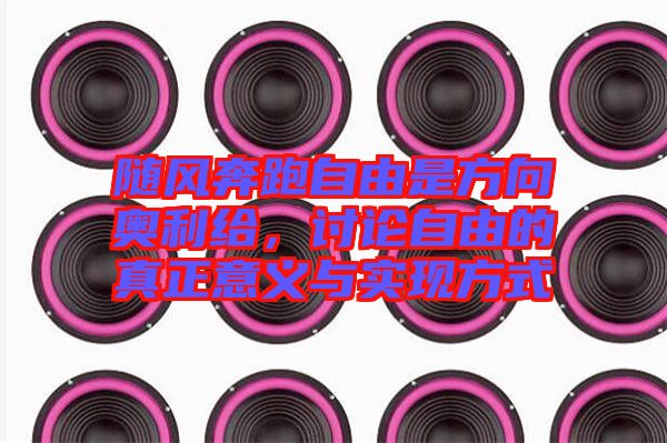 隨風(fēng)奔跑自由是方向奧利給，討論自由的真正意義與實(shí)現(xiàn)方式