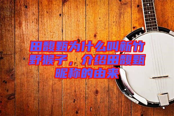 田馥甄為什么叫新竹野猴子,介紹田馥甄昵稱的由來