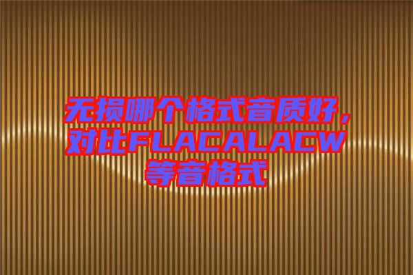 無損哪個格式音質好,對比FLACALACW等音格式