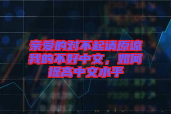 親愛的對不起請原諒我的不好中文,如何提高中文水平