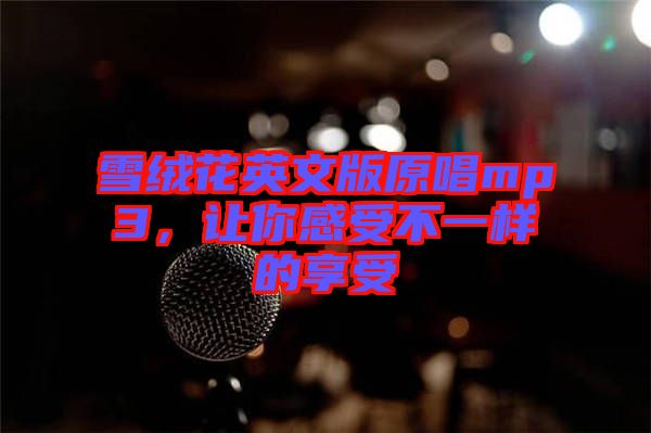 雪絨花英文版原唱mp3,讓你感受不一樣的享受