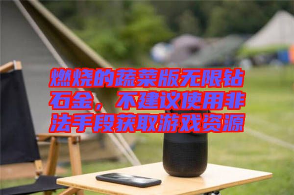 燃燒的蔬菜版無(wú)限鉆石金，不建議使用非法手段獲取游戲資源