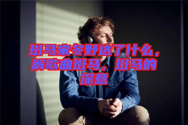 斑馬宋冬野達了什么，解歌曲斑馬，斑馬的深意