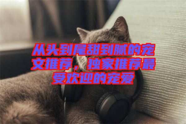 從頭到尾甜到膩的寵文推薦，獨家推薦最受歡迎的寵愛