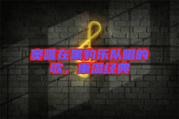 竇唯在黑豹樂隊唱的歌,重溫經典