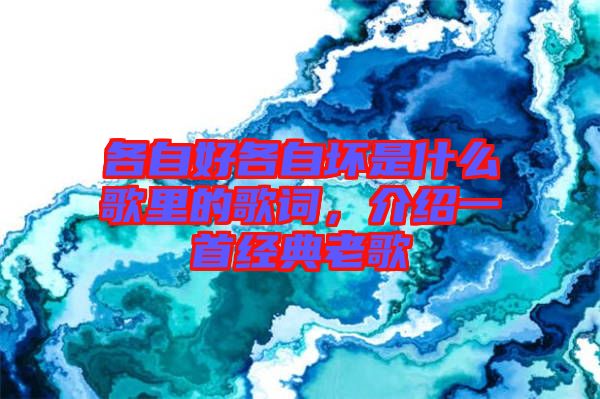 各自好各自壞是什么歌里的歌詞,介紹一首經(jīng)典老歌