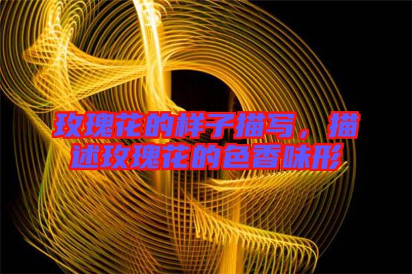 玫瑰花的樣子描寫,描述玫瑰花的色香味形