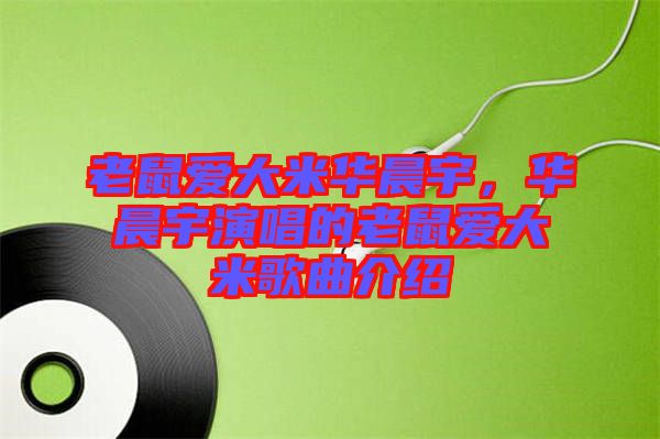 老鼠愛(ài)大米華晨宇,華晨宇演唱的老鼠愛(ài)大米歌曲介紹