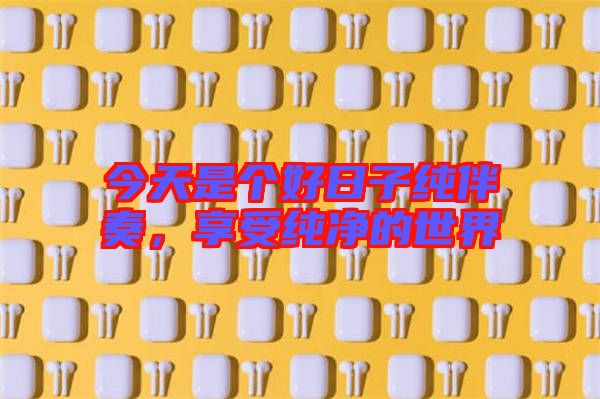 今天是個好日子純伴奏,享受純凈的世界