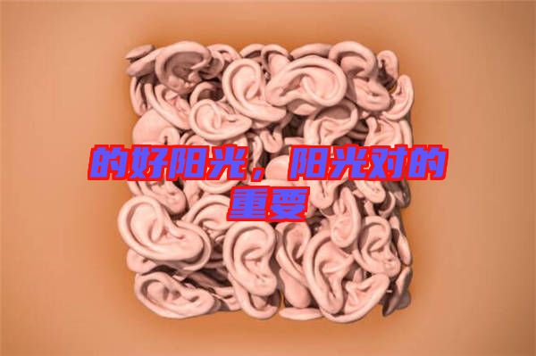 的好陽光,陽光對的重要