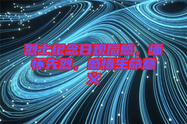 烈士紀(jì)念日觀后感，緬懷先烈，感悟生命意義