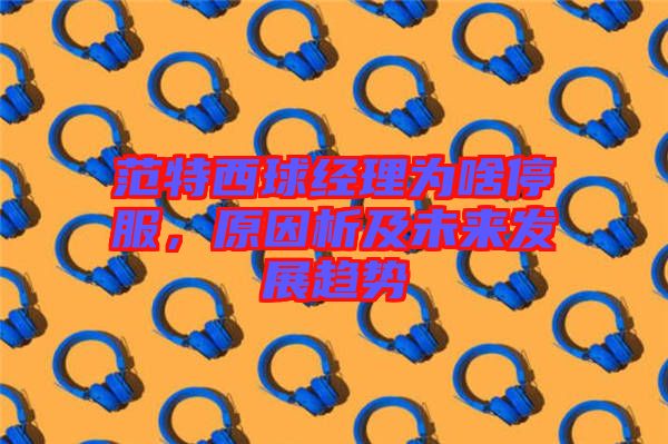 范特西球經(jīng)理為啥停服,原因析及未來發(fā)展趨勢