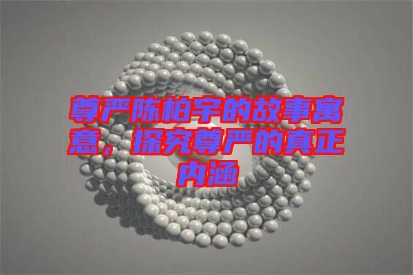 尊嚴陳柏宇的故事寓意,探究尊嚴的真正內(nèi)涵