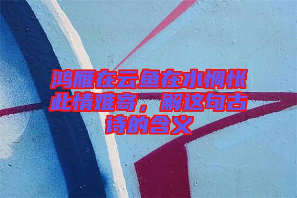 鴻雁在云魚在水惆悵此情難寄,解這句古詩的含義