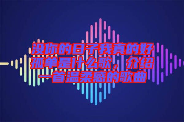 沒(méi)你的日子我真的好孤單是什么歌,介紹一首溫柔感的歌曲