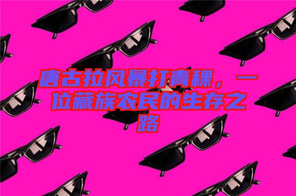 唐古拉風暴打青稞,一位藏族農民的生存之路