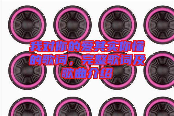 我對(duì)你的愛其實(shí)你懂的歌詞，完整歌詞及歌曲介紹
