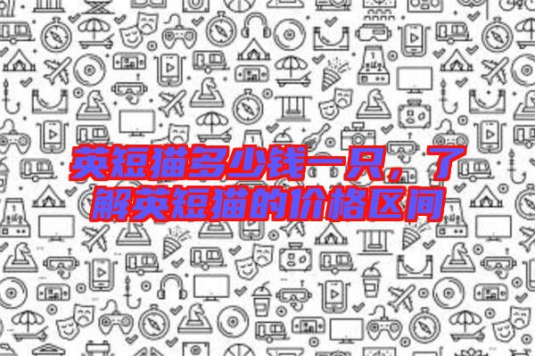 英短貓多少錢一只,了解英短貓的價格區間