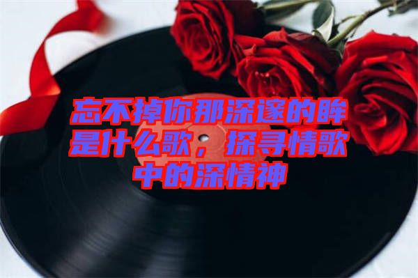 忘不掉你那深邃的眸是什么歌,探尋情歌中的深情神
