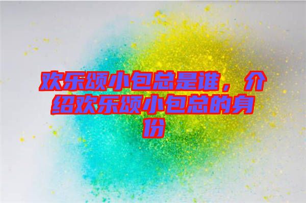 歡樂頌小包總是誰,介紹歡樂頌小包總的身份