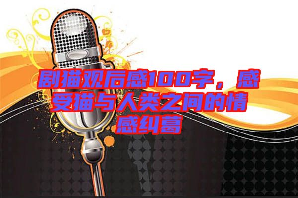 劇貓觀后感100字,感受貓與人類之間的情感糾葛