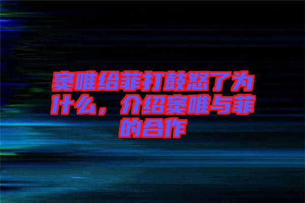 竇唯給菲打鼓怒了為什么,介紹竇唯與菲的合作