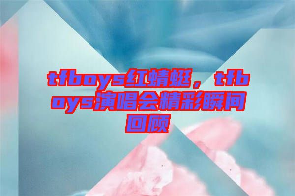 tfboys紅蜻蜓，tfboys演唱會精彩瞬間回顧